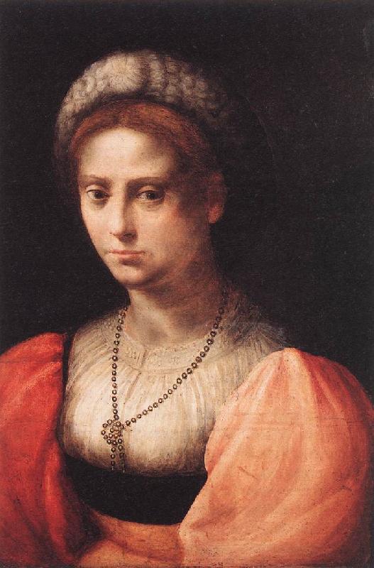PULIGO, Domenico Portrait of a Lady agf Germany oil painting art